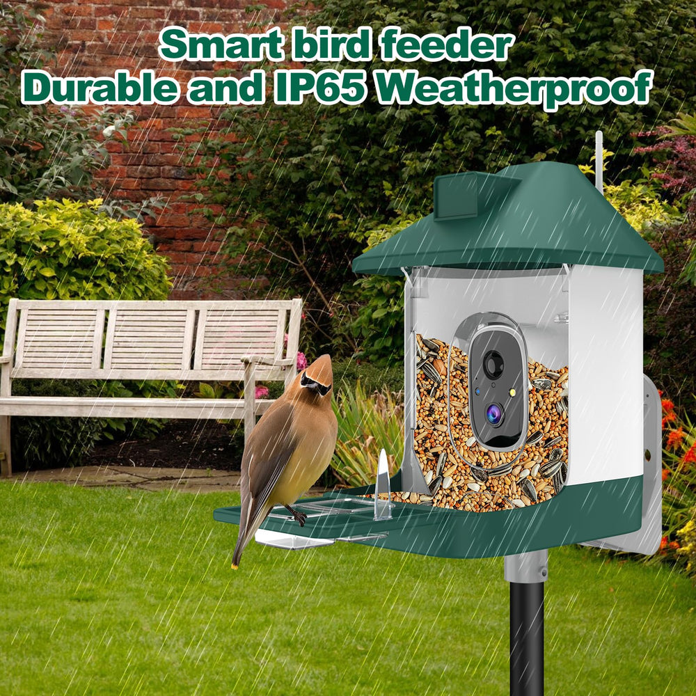 Vatjubi bird feeder feeding options supporting jelly and fruit to attract birds