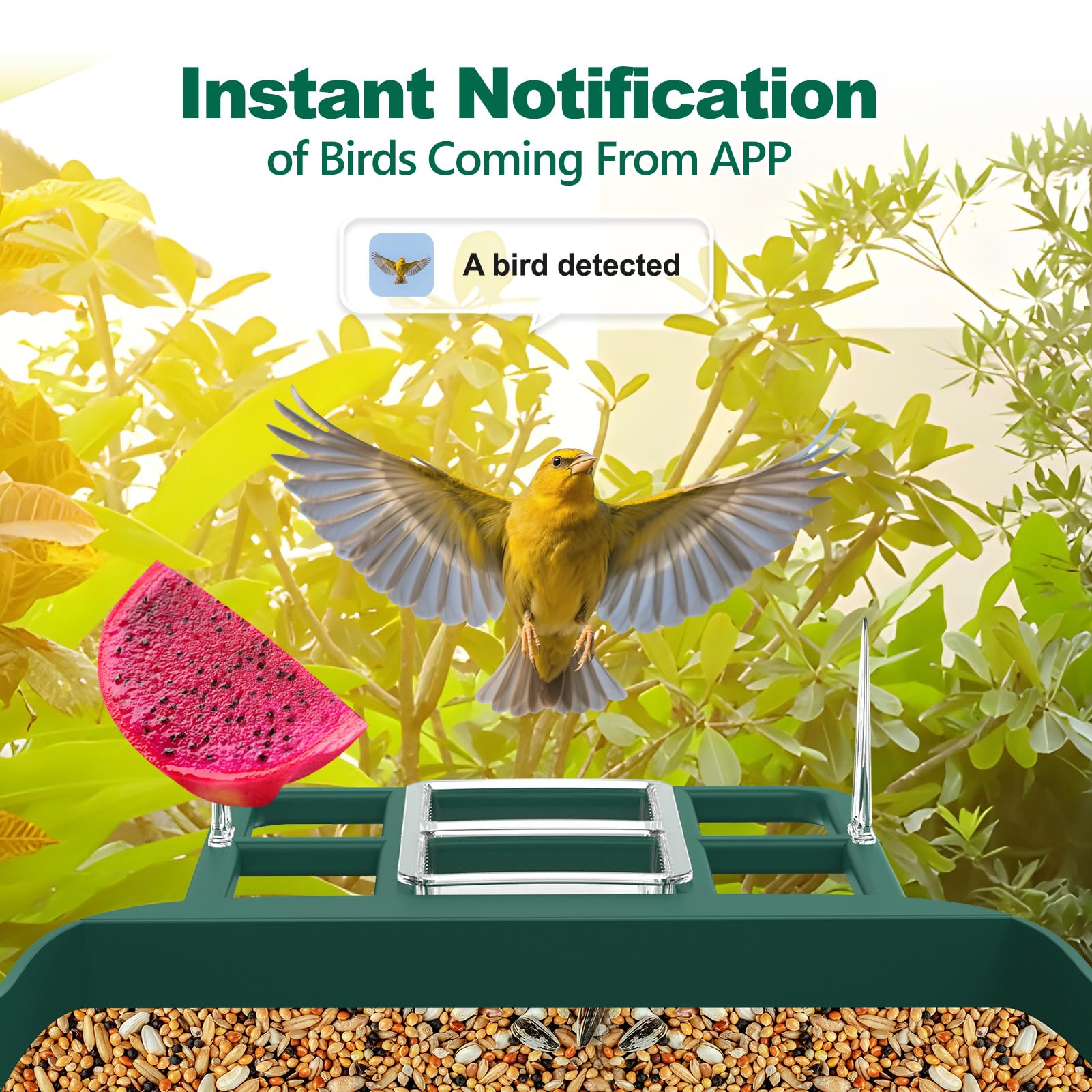 Vatjubi bird feeder solar panel setup enabling outdoor powered operation