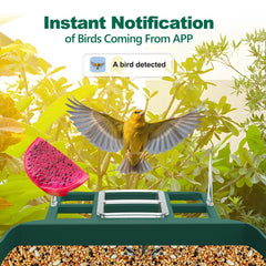 Vatjubi bird feeder solar panel setup enabling outdoor powered operation