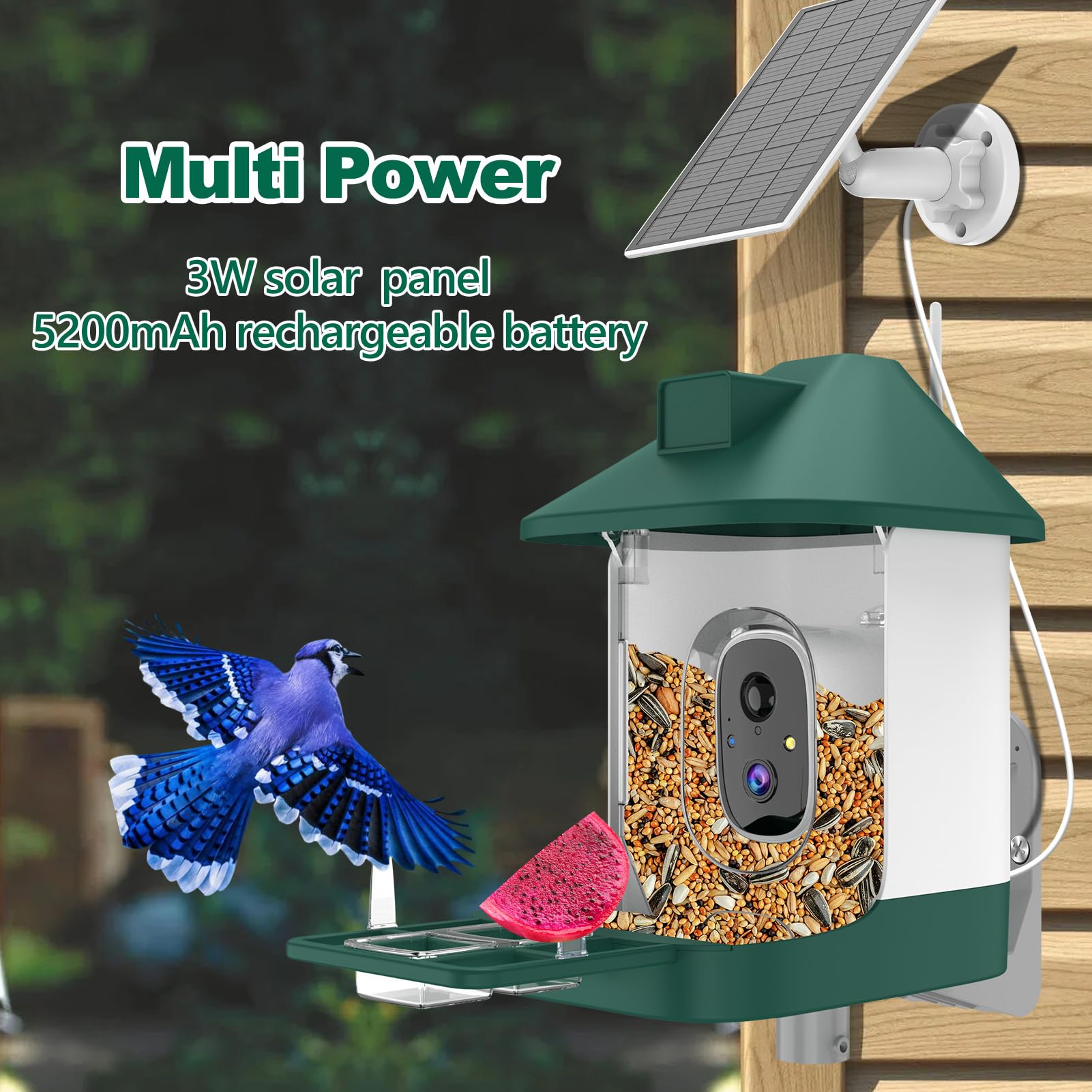Vatjubi bird feeder camera wifi setup showing stable 2.4GHz connection
