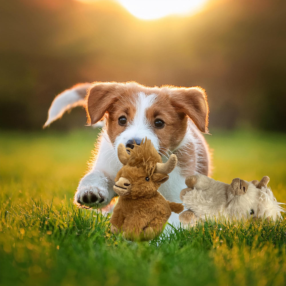 Vaulted Skulls & Co cow toy 6in fetch play enhances active exercise and bonding.