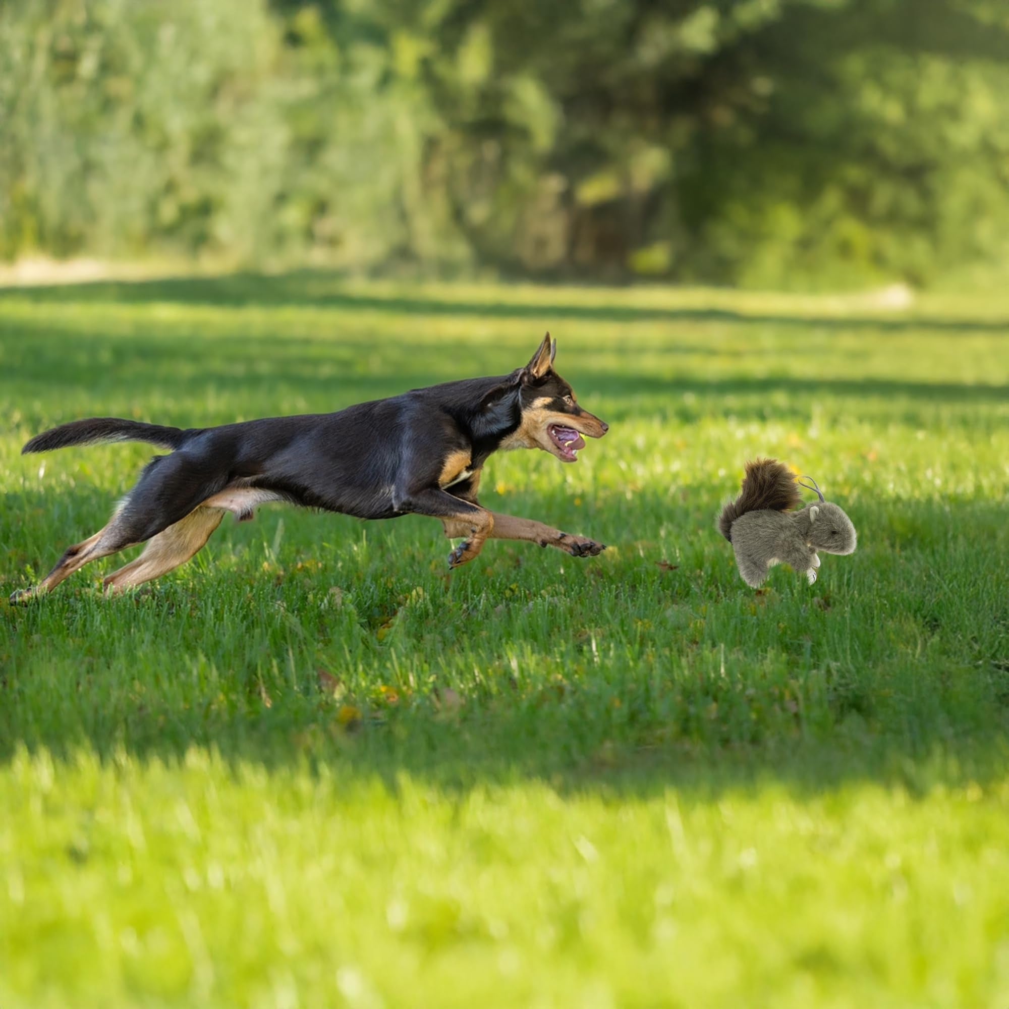 Vaulted Skulls & Co Squirrel Dog Toy ready for fetch and tug-of-war sessions.