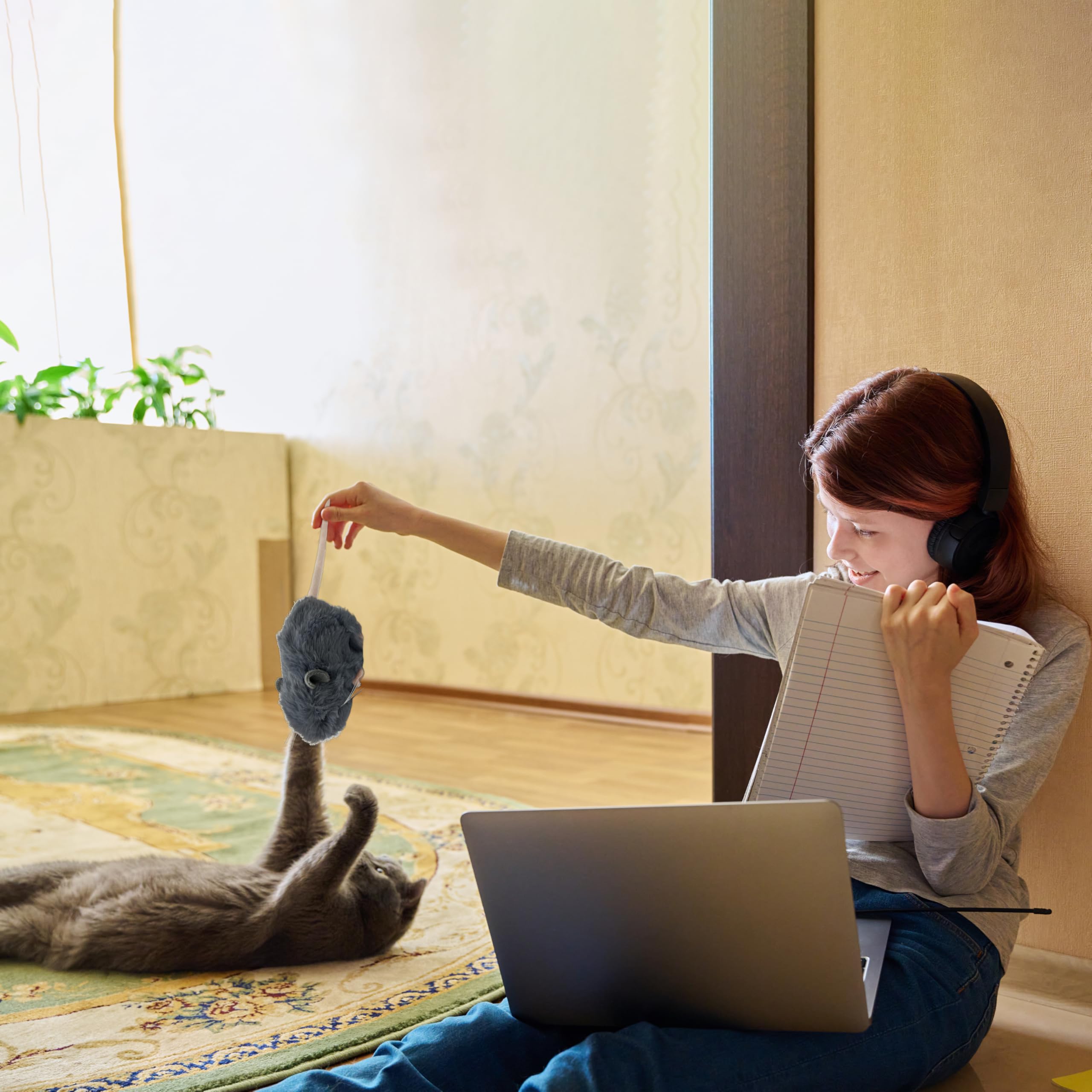 Vaulted Skulls & Co easy-clean plush material cleans quickly after sessions.