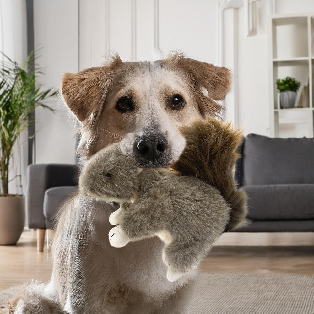 Vaulted Skulls & Co Plush Squirrel Toy closeup demonstrates durable plush material for chewing fun.