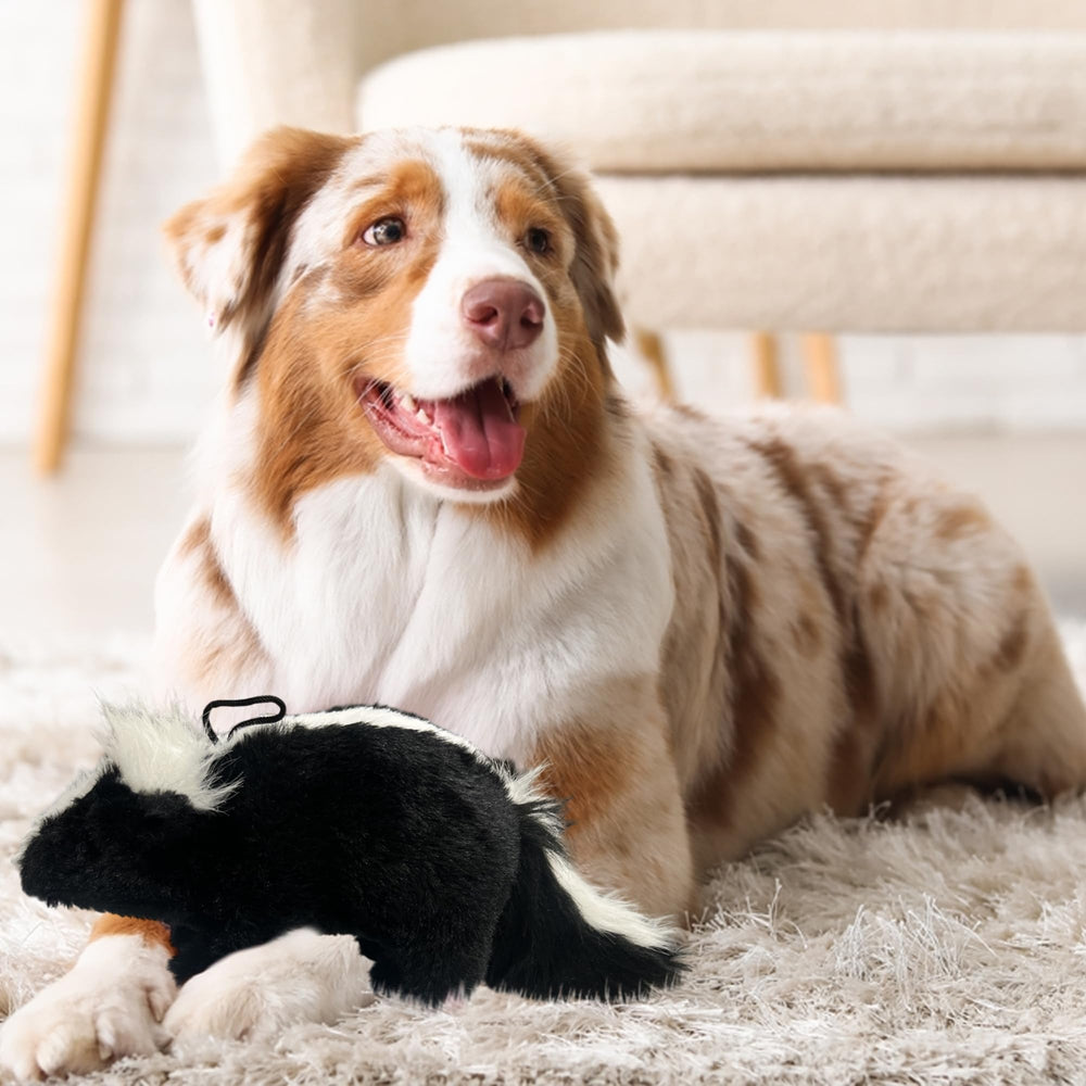 Vaulted Skulls & Co skunk toy in action for small to medium dogs' fetch and tug