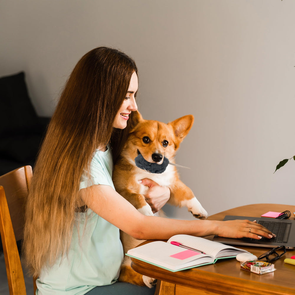 Vaulted Skulls & Co versatile-play mouse toy suits solo and owner-led games.