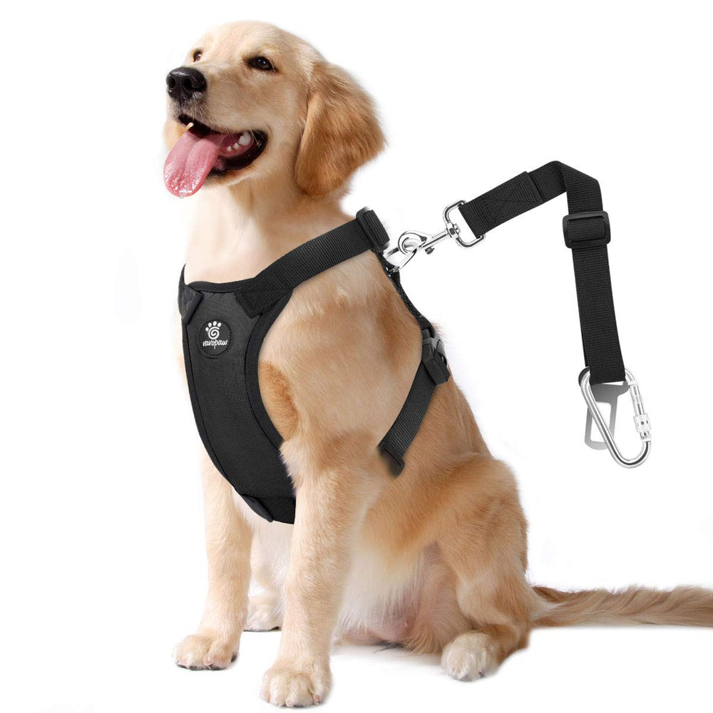 VavoPaw dog seat belt close-up shows secure buckle and durable nylon.