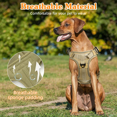 VavoPaw MOLLE panel on harness enables gear carrying and quick access.