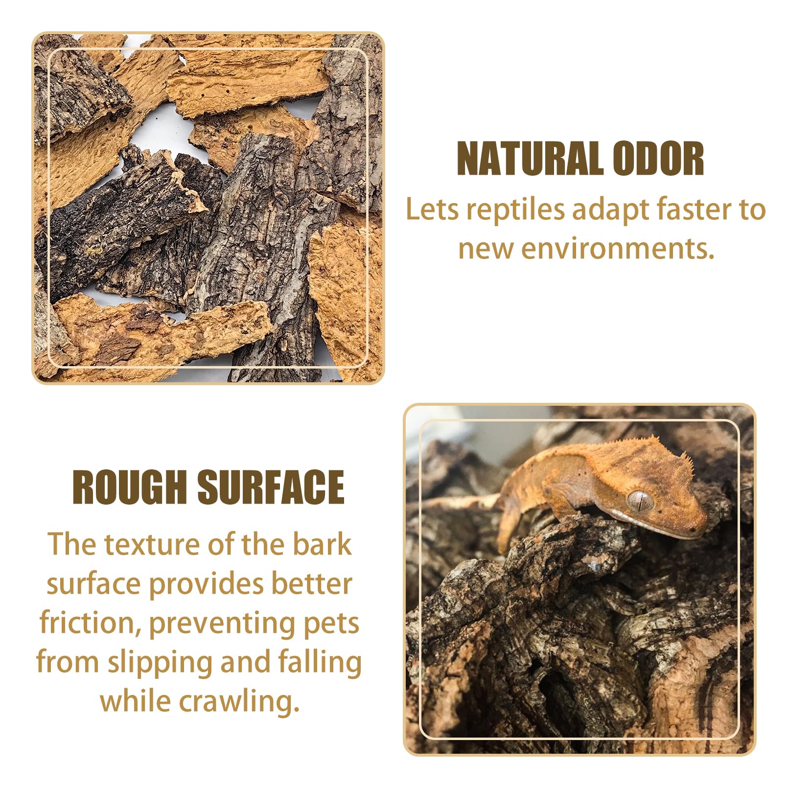 VCEPJH cork bark backdrop demonstrates versatile layout for climbing and hiding spaces.