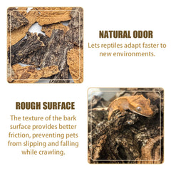 VCEPJH cork bark backdrop demonstrates versatile layout for climbing and hiding spaces.