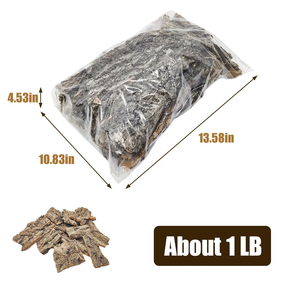 VCEPJH natural cork bark in terrarium image highlights fragrance-inspired ambiance and calm reptile.