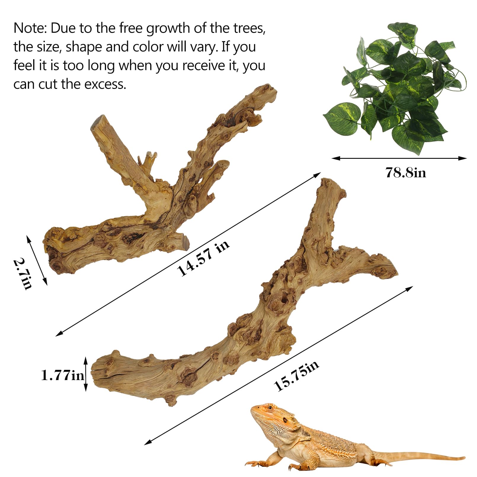 VCEPJH reptile climbing tree branch providing exercise space in tank