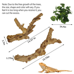 VCEPJH reptile climbing tree branch providing exercise space in tank