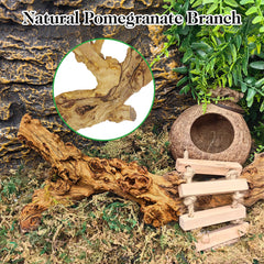VCEPJH reptile wood branches suitable for bearded dragon and chameleon