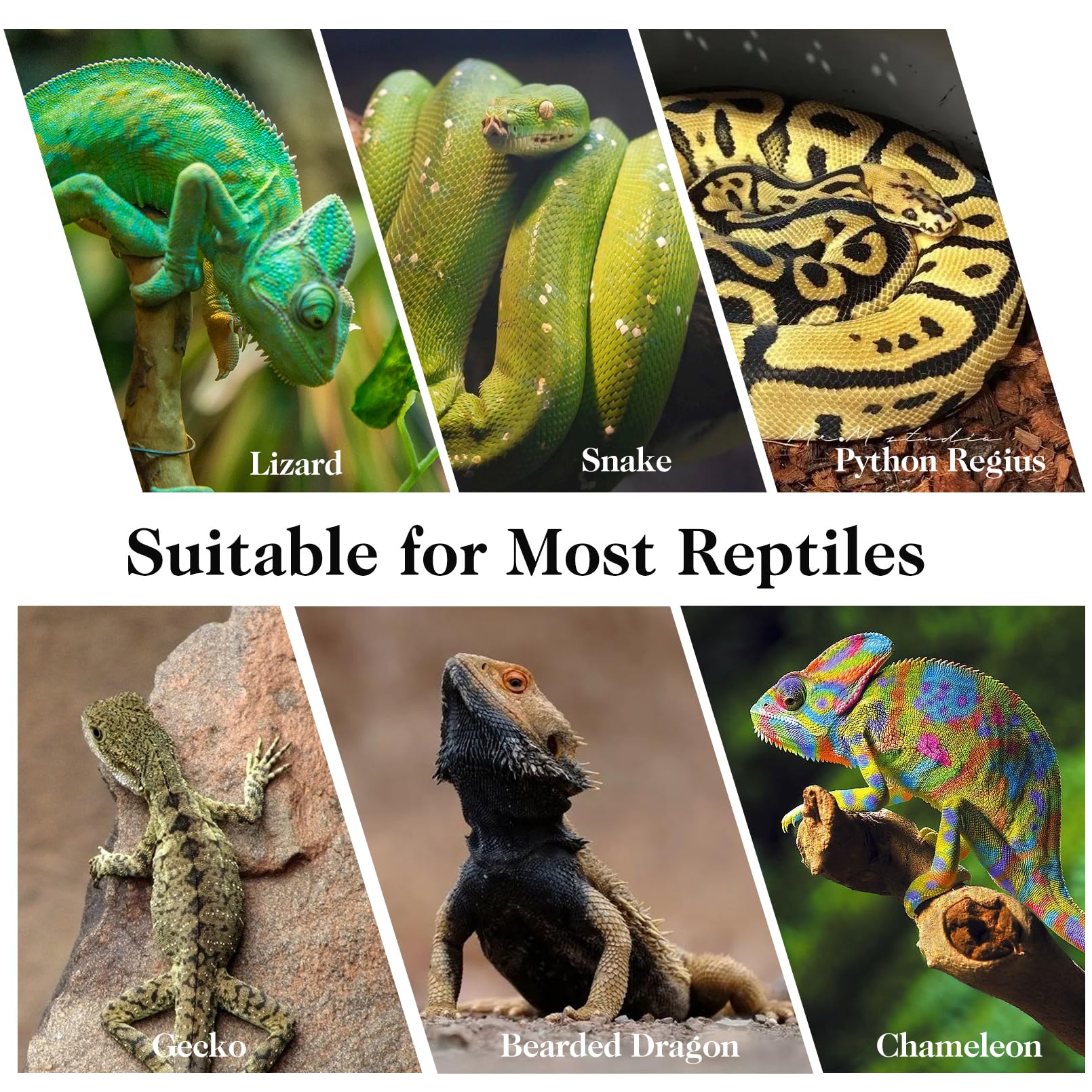 VCEPJH reptile branches easy to trim for custom tank setup