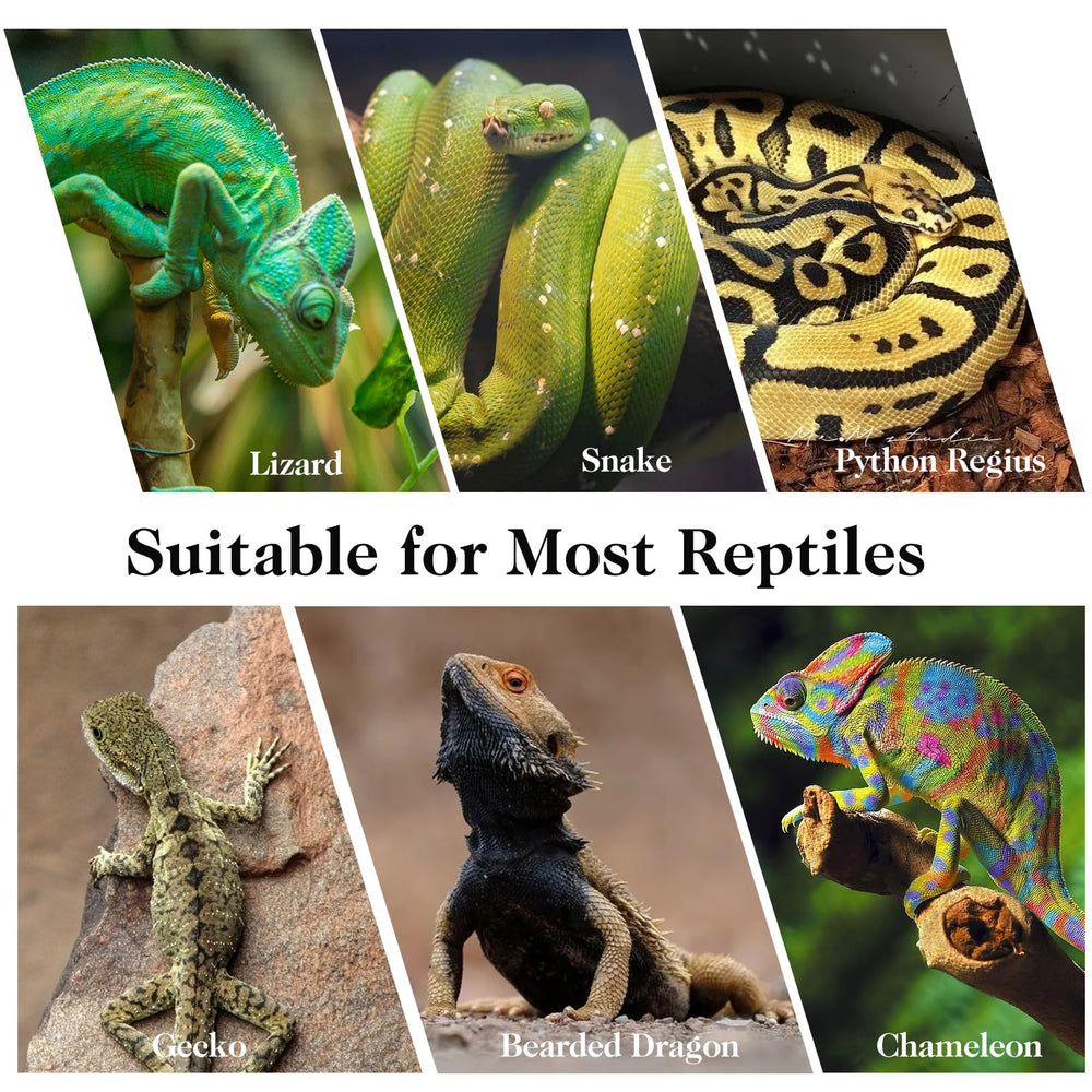 VCEPJH reptile branches easy to trim for custom tank setup