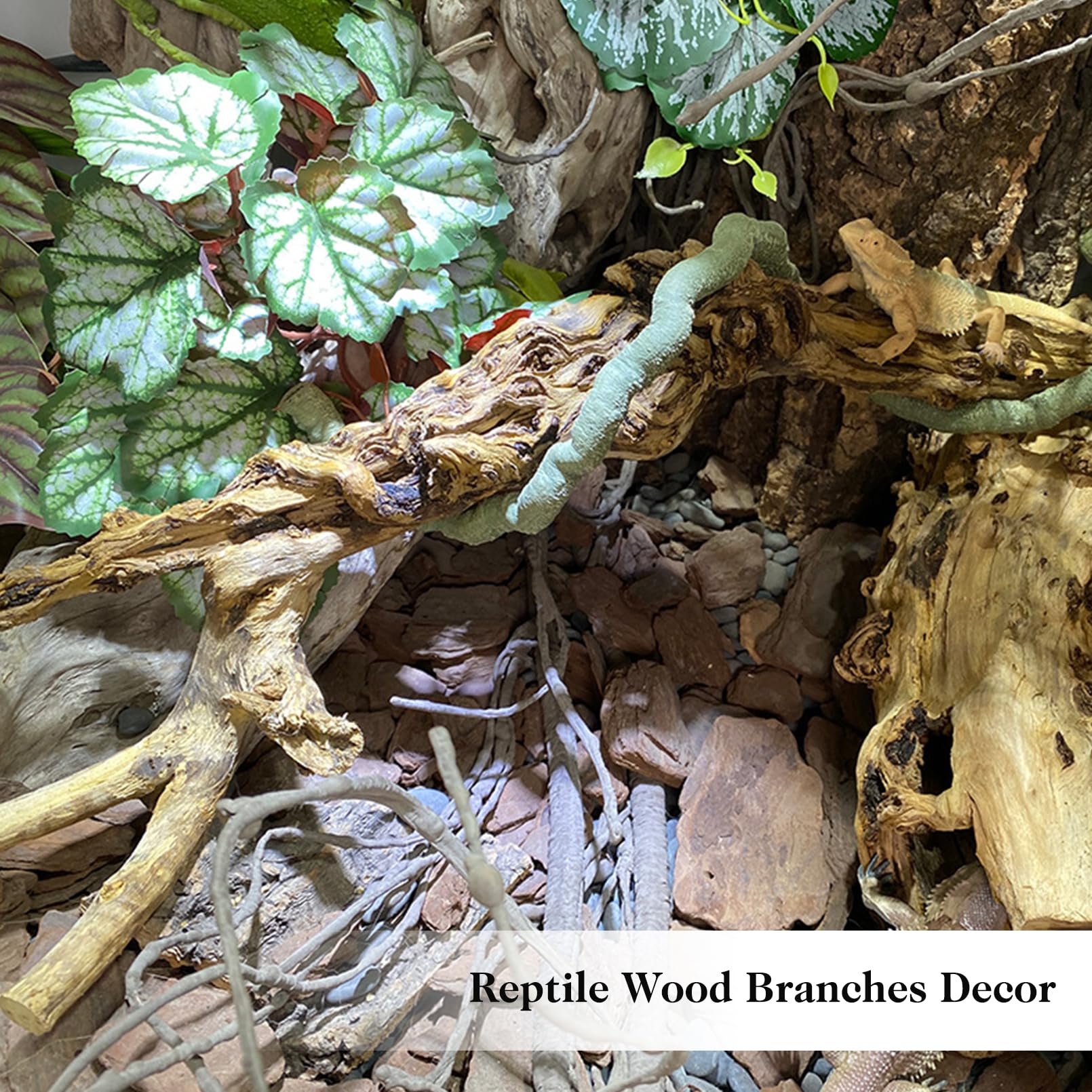 VCEPJH reptile branches two-pack display for enrichment