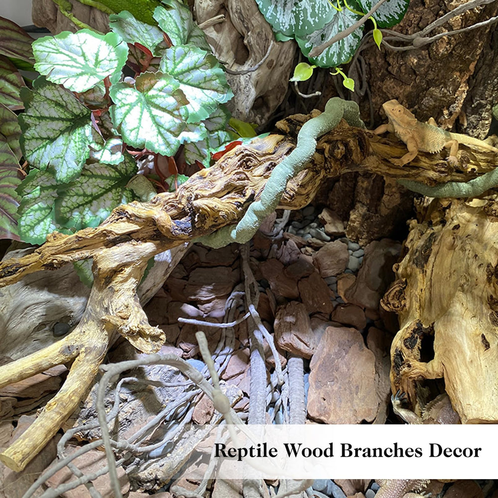 VCEPJH reptile branches two-pack display for enrichment