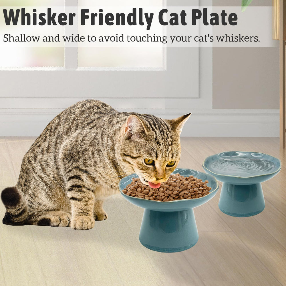 VCEPJH wide shallow bowl image demonstrates whisker fatigue reduction during meals.