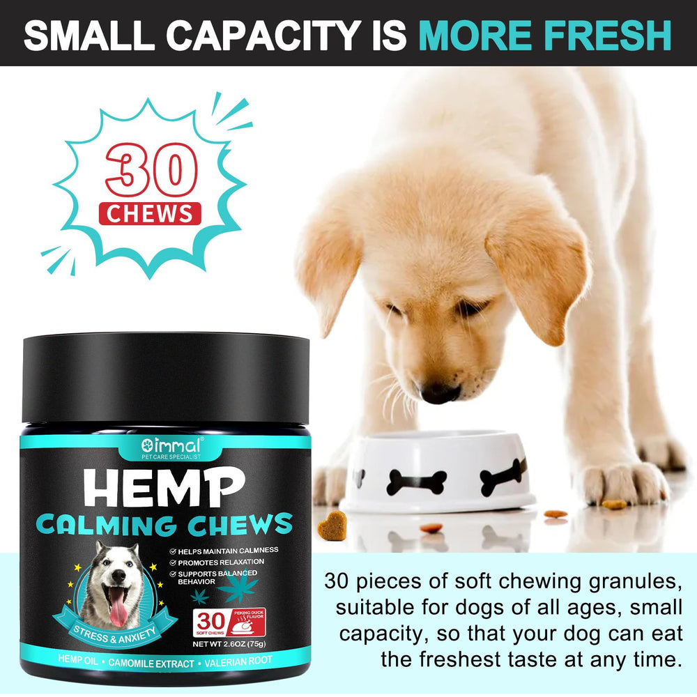 VCTSOF Calming Chews near dog resting after chew nighttime