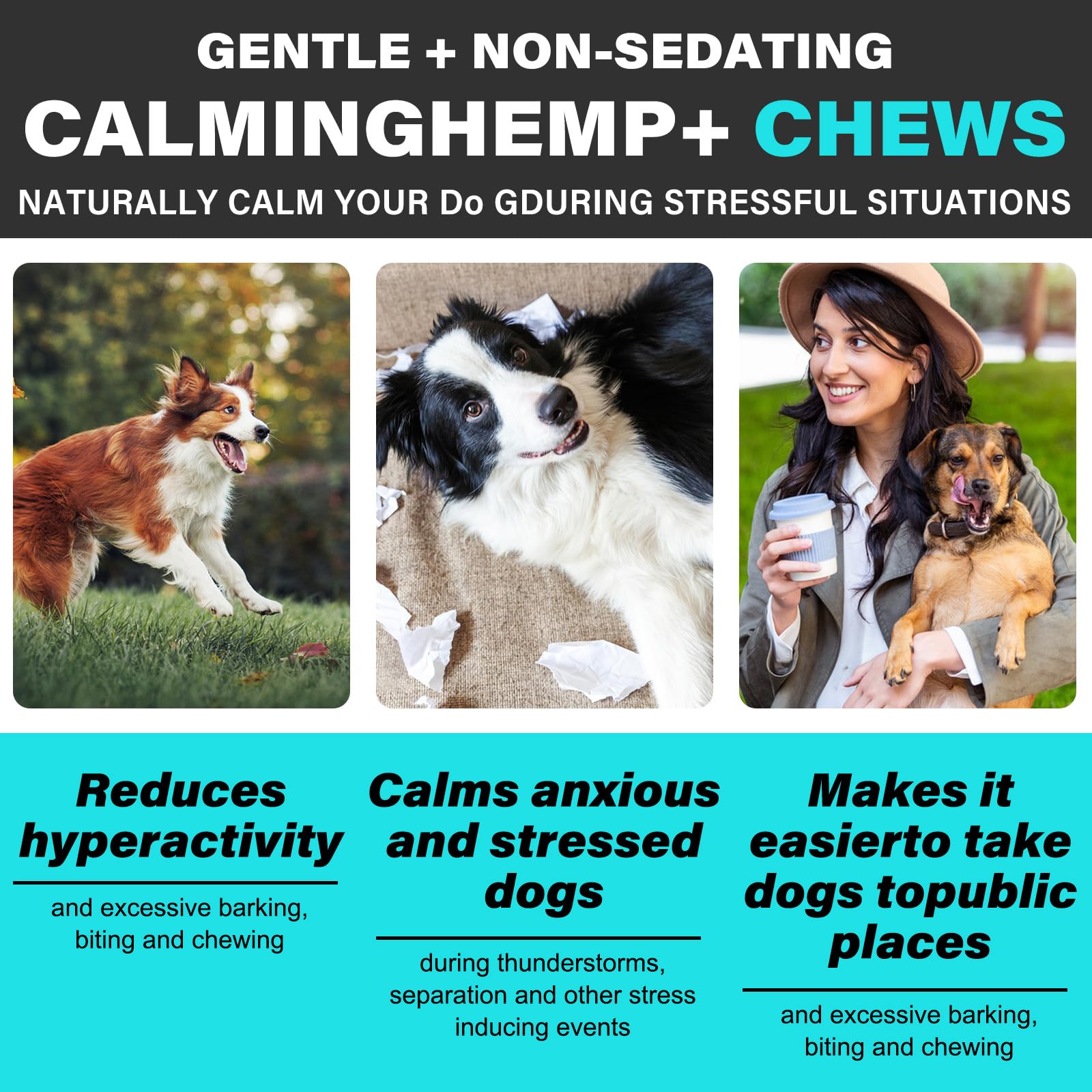 VCTSOF Calming Chews in car during travel example of reduced stress