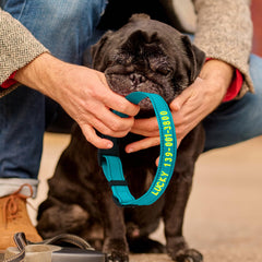 VCZONE dog collar with soft nylon offers comfortable all-day wear.