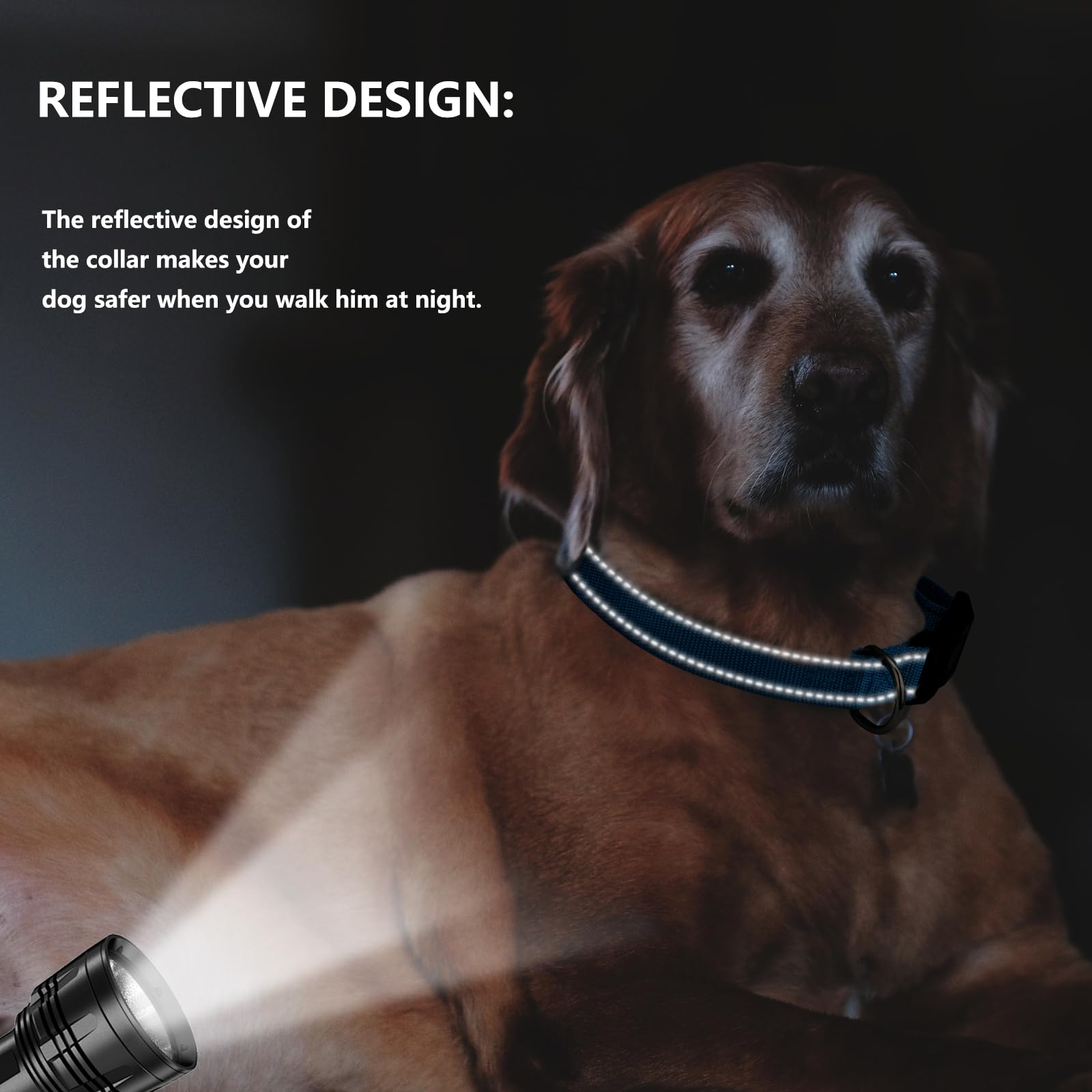 VCZONE personalized gift-ready collar suits pet lovers and special occasions.
