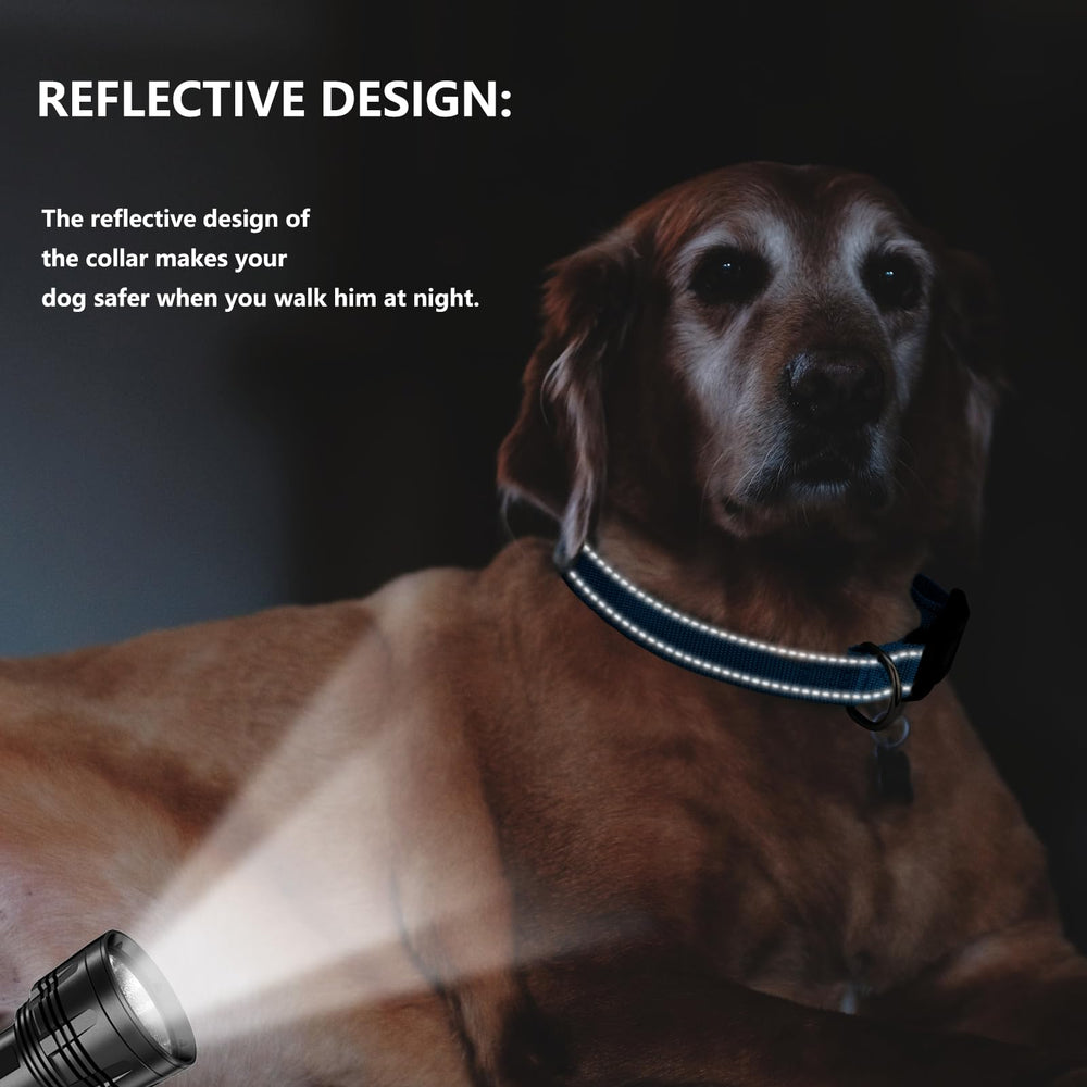 VCZONE personalized gift-ready collar suits pet lovers and special occasions.