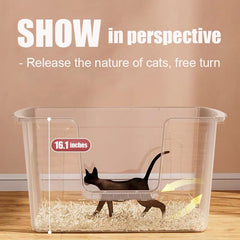 Vealind extralarge cat litter box 31x21 top view showing spacious interior for multiple cats.