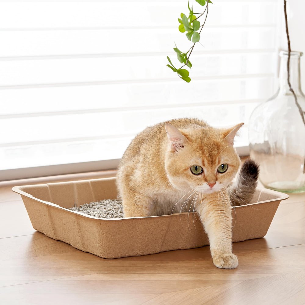 Vealind recycled paper litter box relying on eco-friendly materials for daily pet routines.