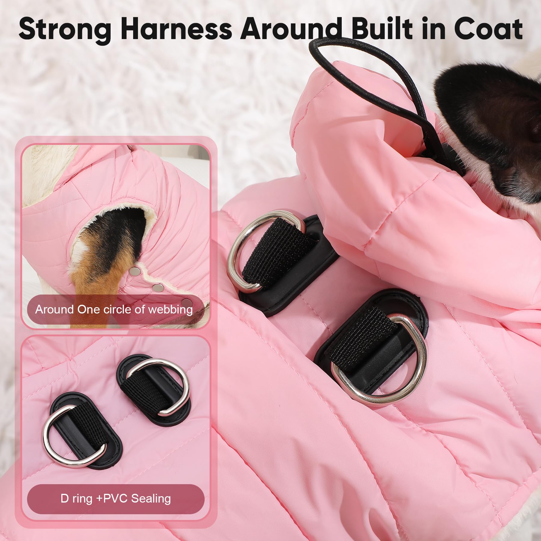 Vecomfy dog hoodie harness front chest d-rings illustrate reliable leash connection during strolls.