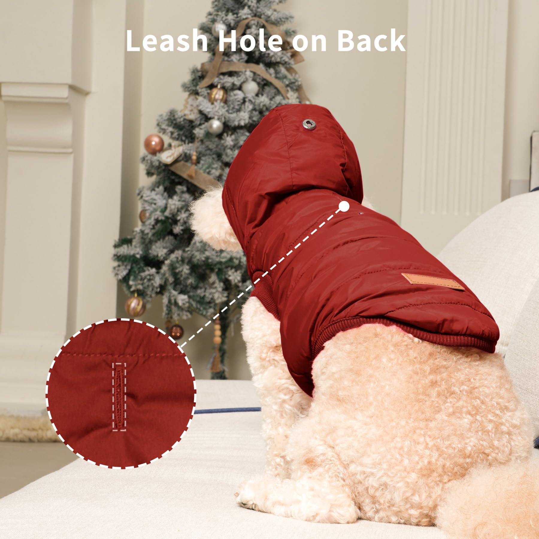 Vecomfy small-dog fit chart and elastic edges for secure wear.