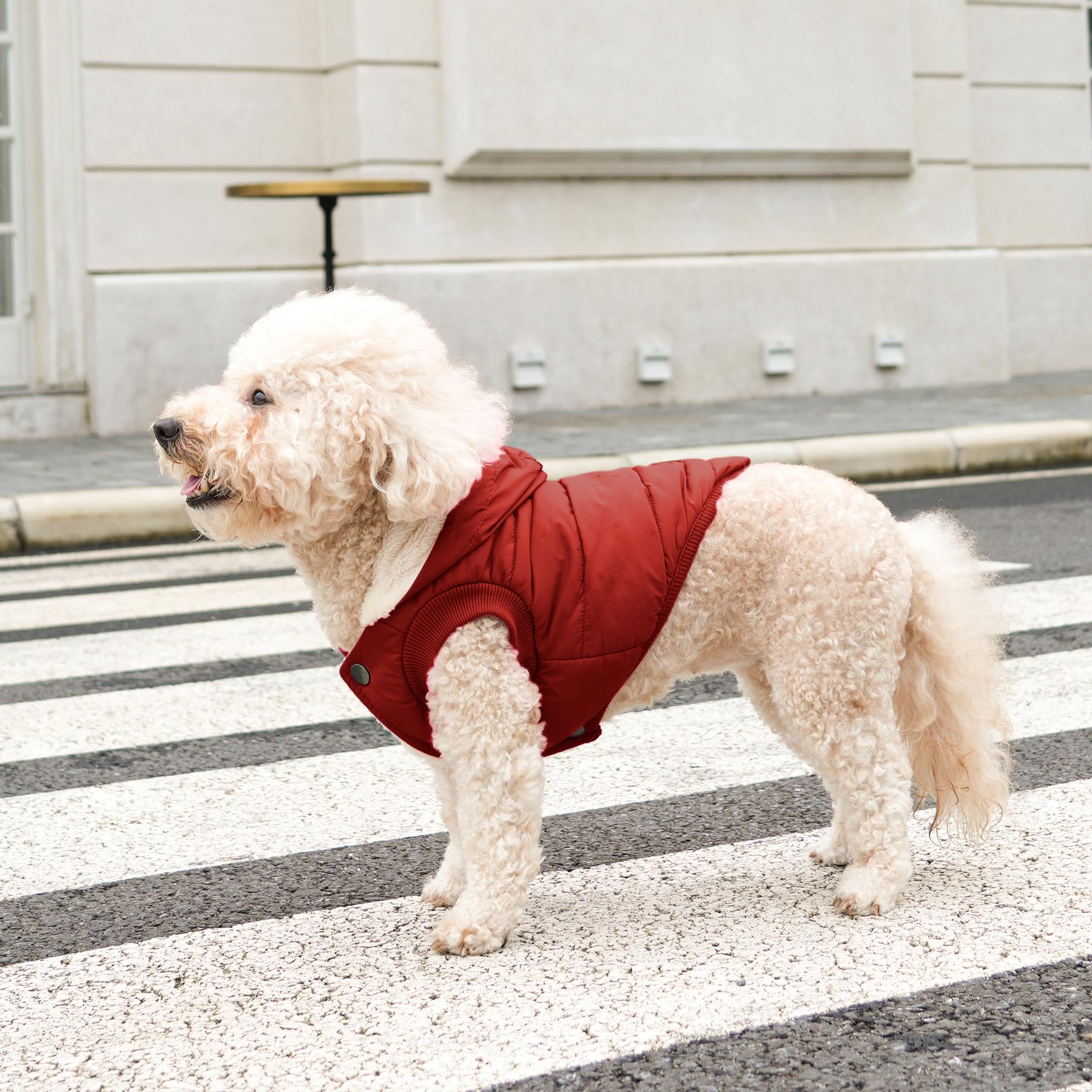 Vecomfy red fleece-lined dog hoodie fabric close-up shows warmth layer.