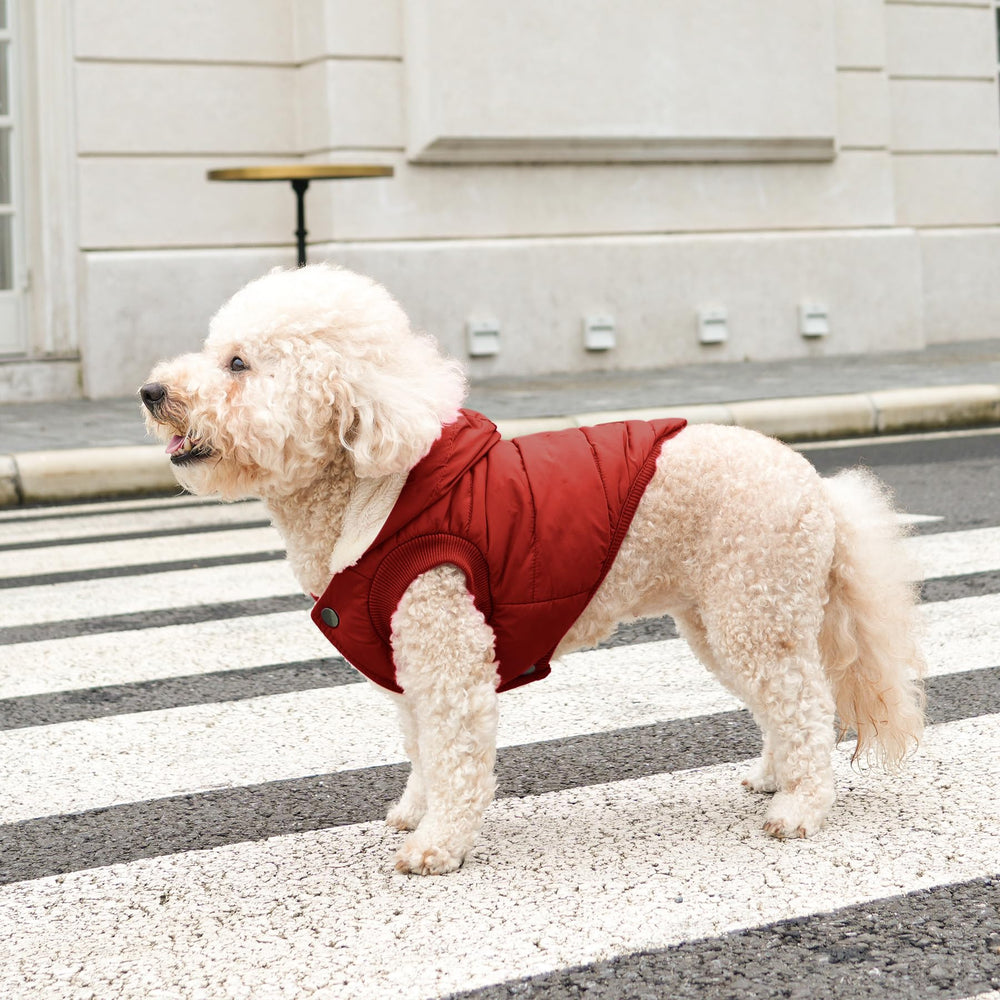 Vecomfy red fleece-lined dog hoodie fabric close-up shows warmth layer.