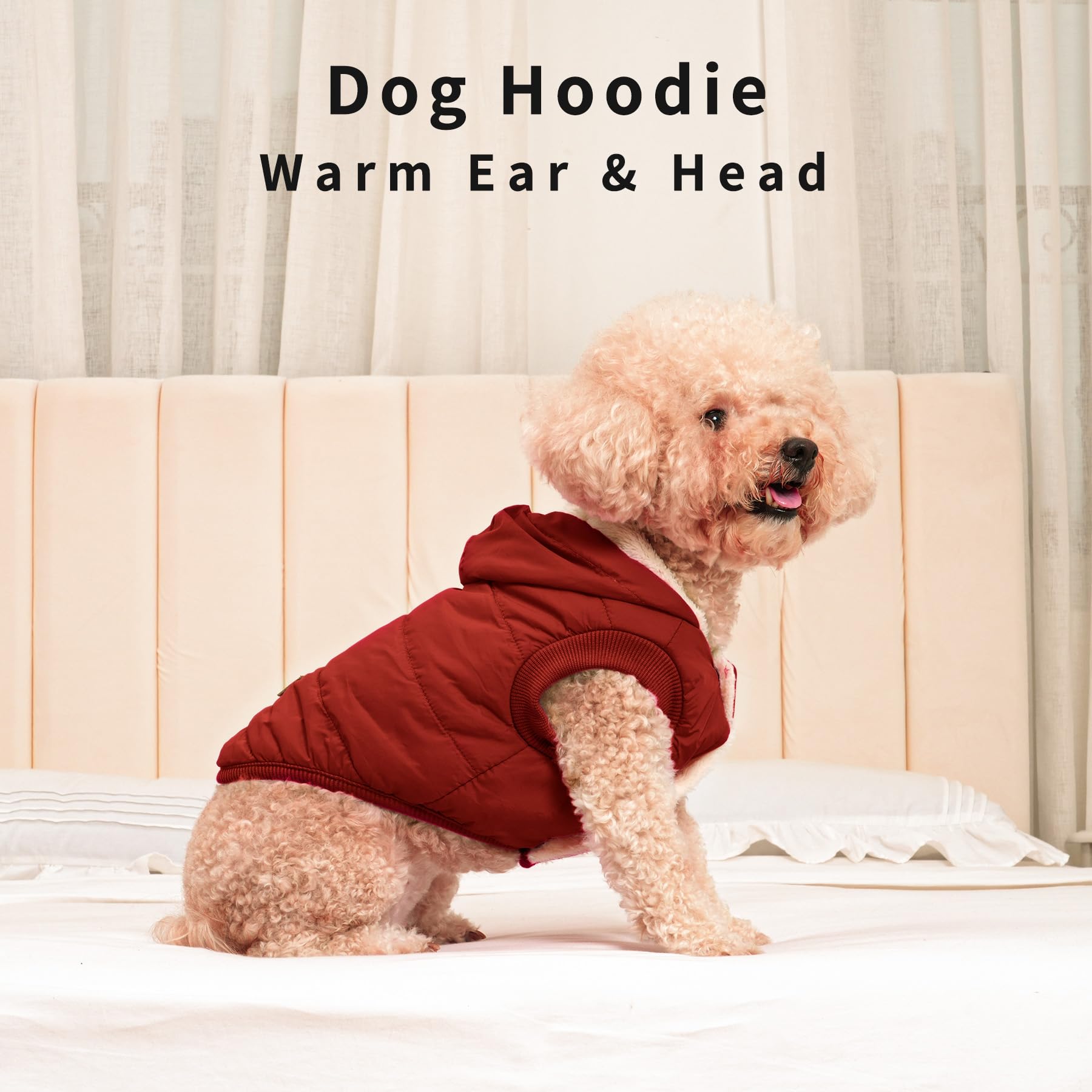 Vecomfy pack-ready dog hoodie for winter travel and daily walks.