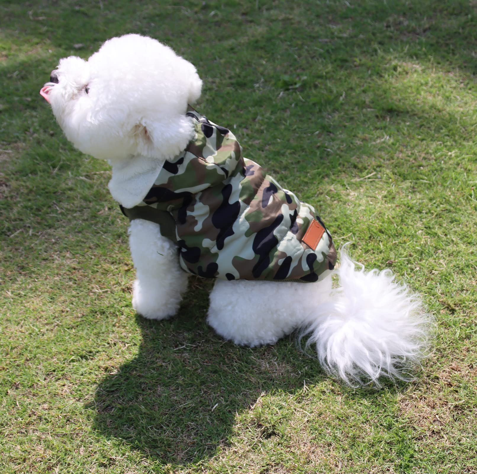 Vecomfy hooded dog jacket detail shows protective head coverage for chilly outings.