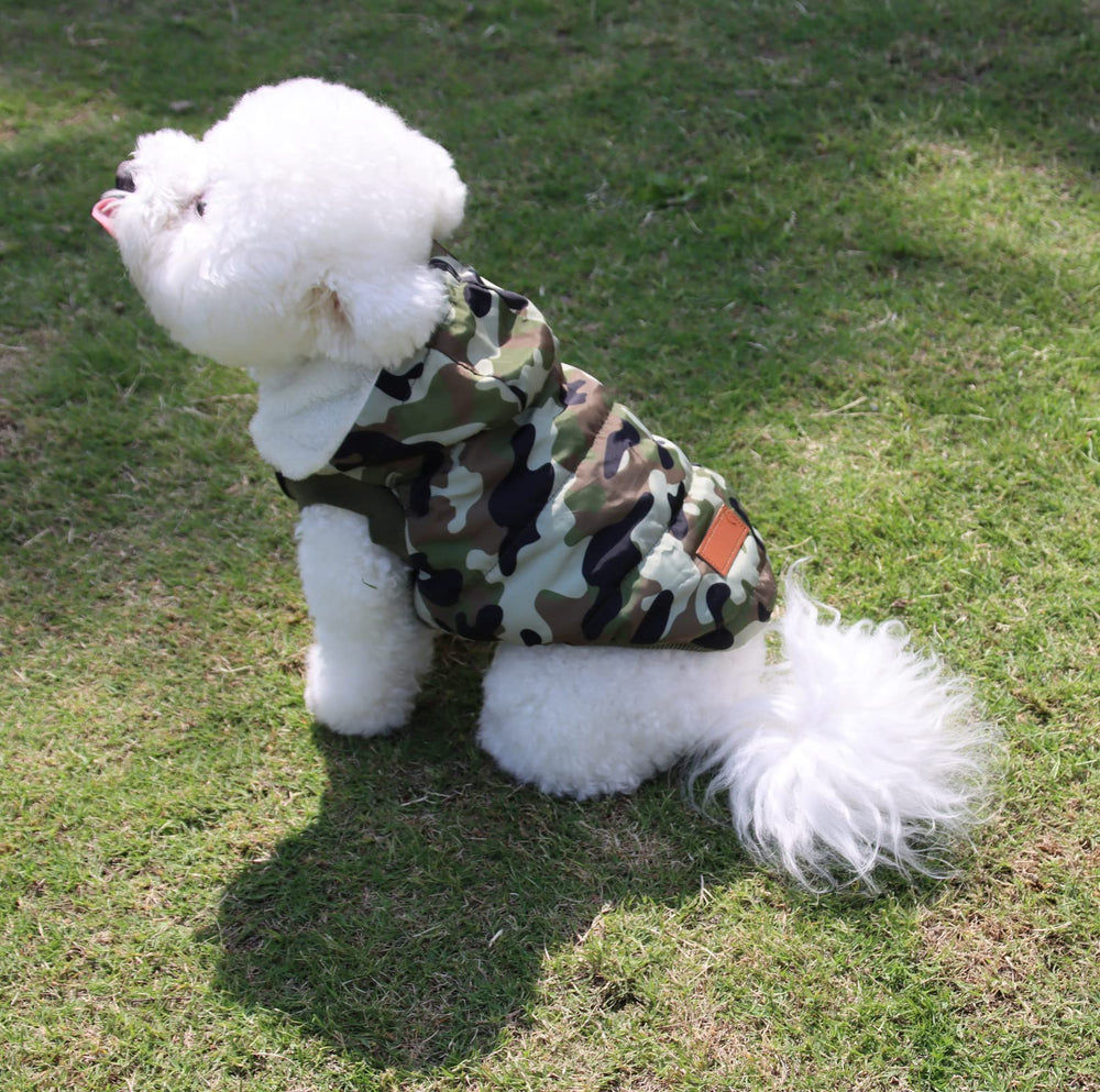 Vecomfy hooded dog jacket detail shows protective head coverage for chilly outings.