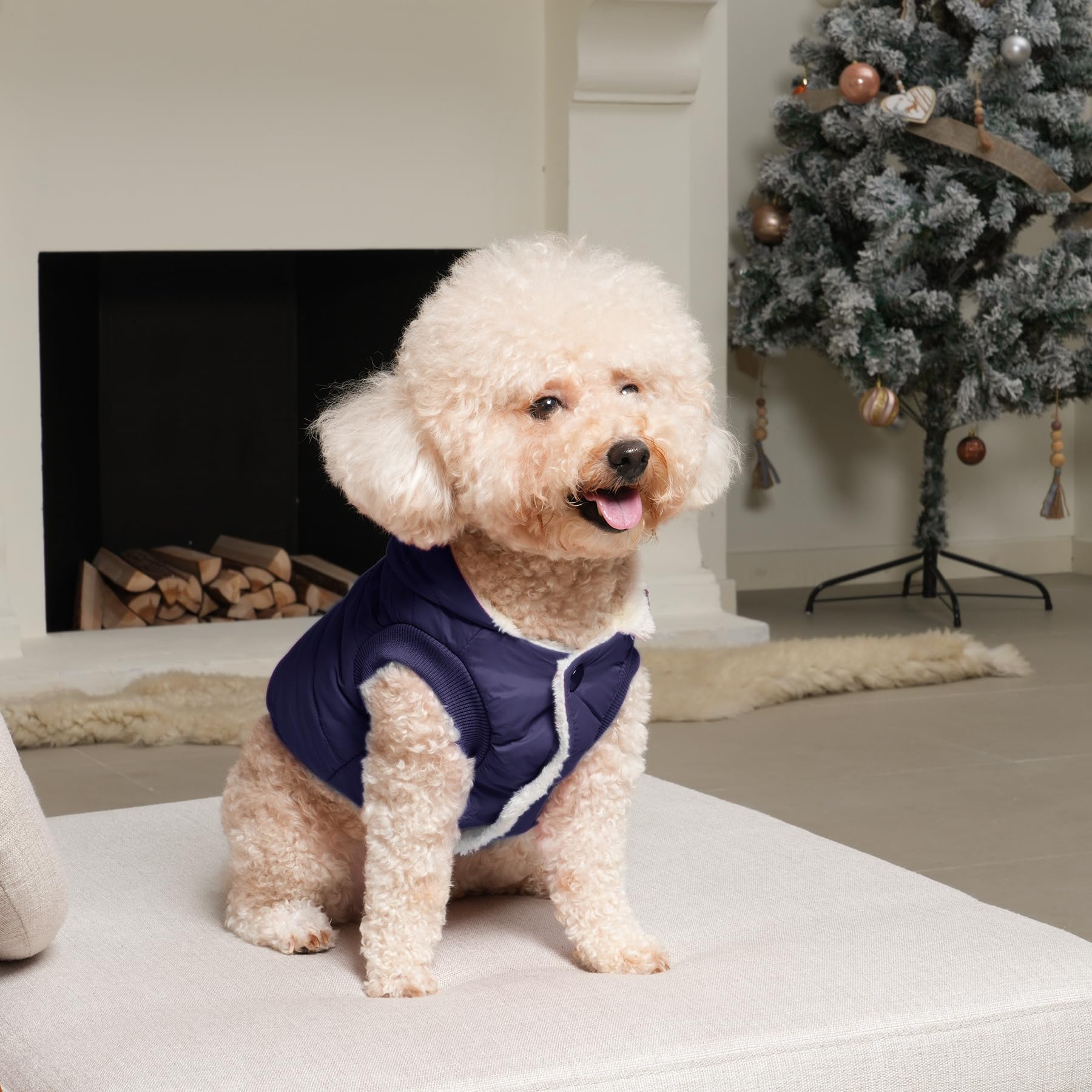 Vecomfy leash-hole hoodie designed for secure outdoor adventures.