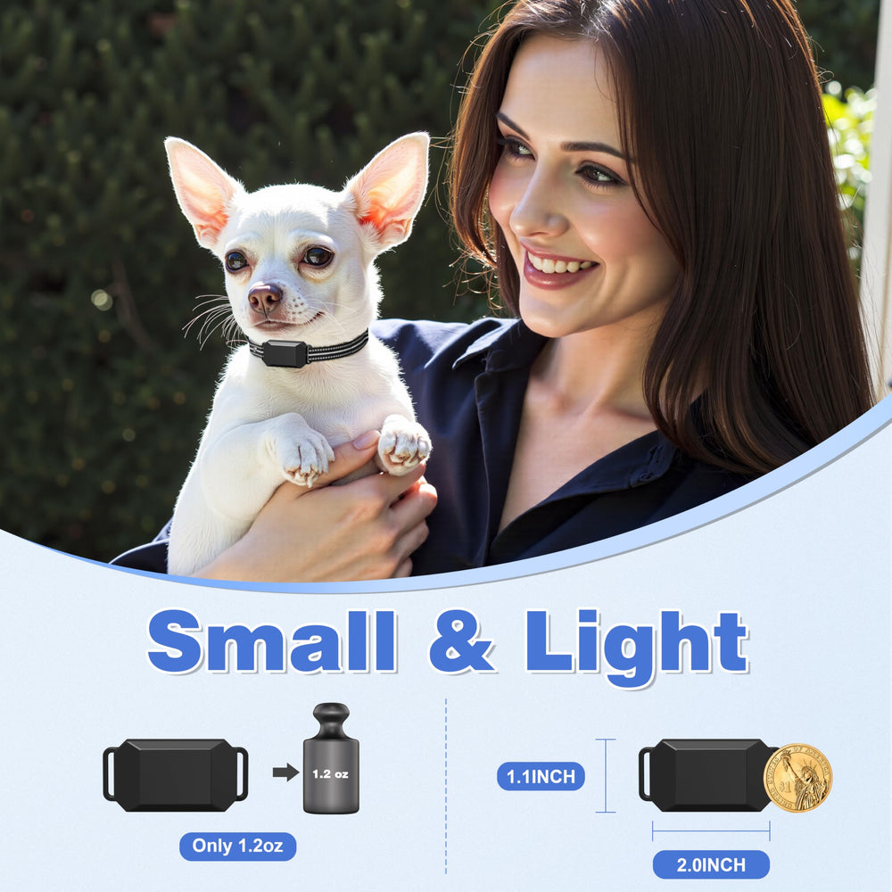 Veconix Ultra Small Shock Collar soft strap close-up showing secure wear during daily walks.