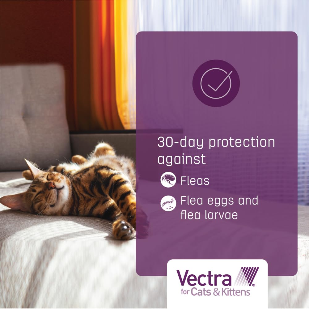 Vectra three-month supply packaging helps you stock up.
