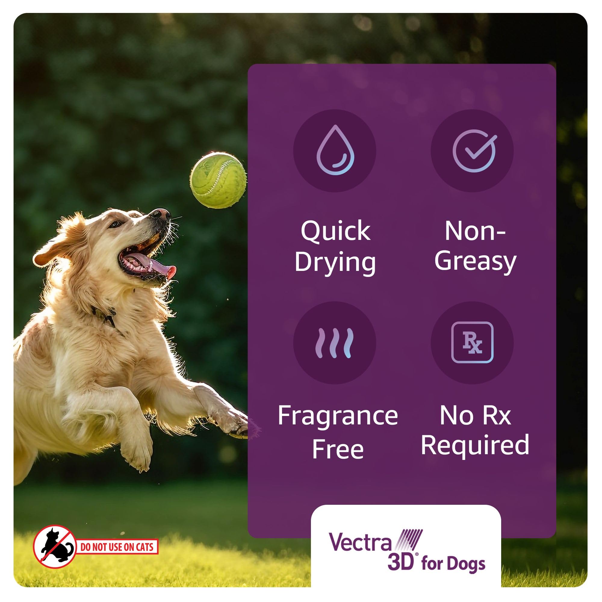 Vectra 3D six-month supply pack provides long-term prevention for dogs.