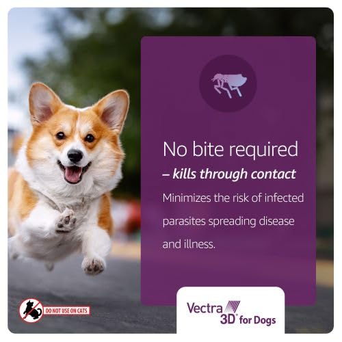 Vectra 3D fragrance-free formula is comfortable on pets.