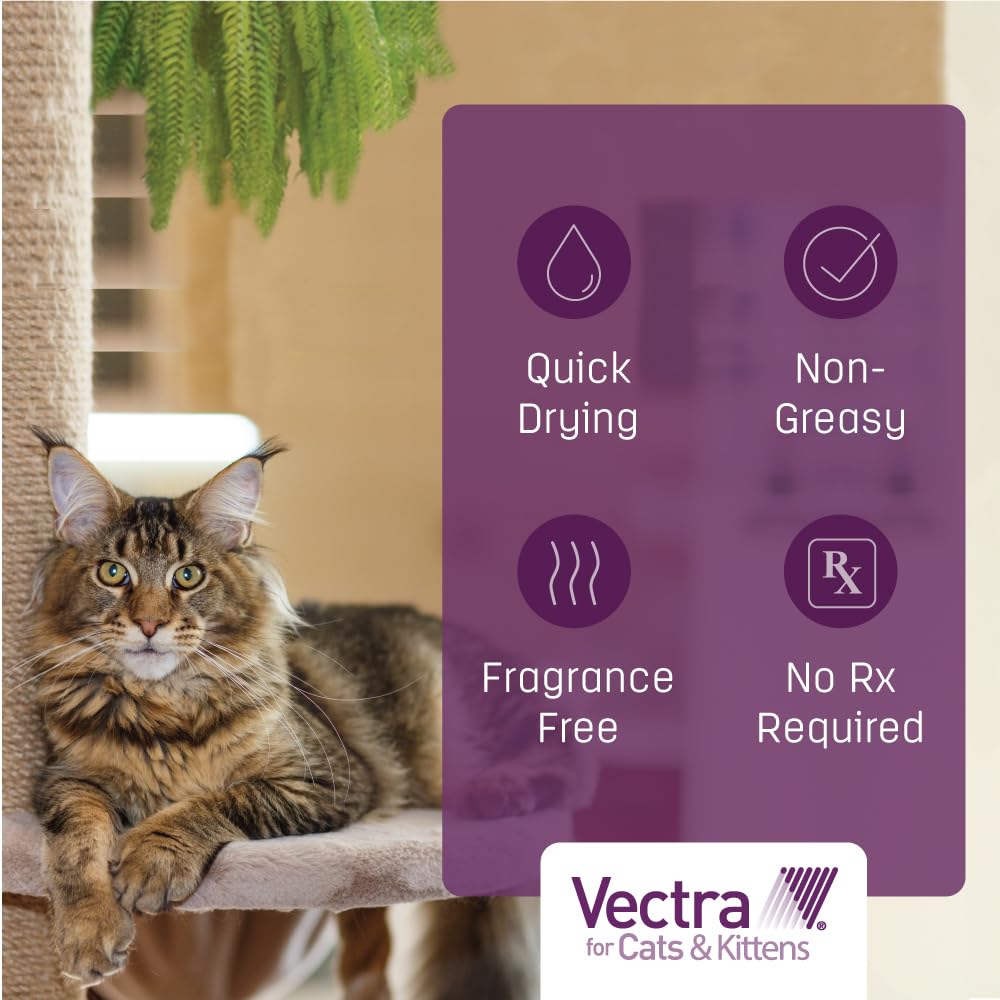 Vectra helps break the flea life cycle by preventing immature fleas.