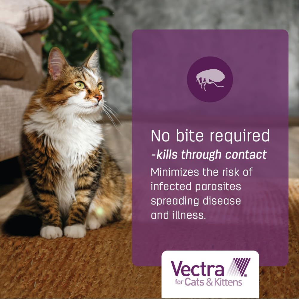 Vectra protects indoor and outdoor cats with full-body flea coverage.