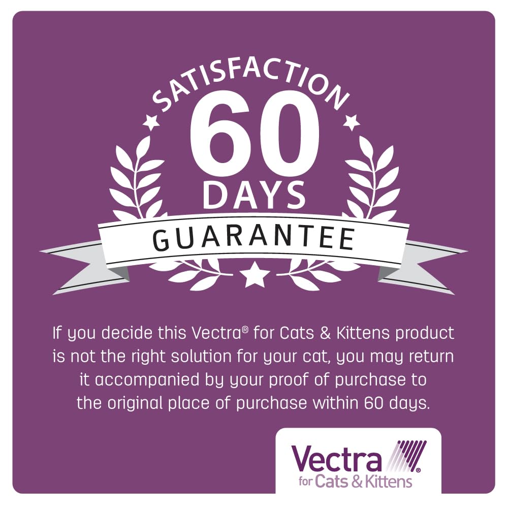 Vectra provides monthly protection for cats and kittens at home.