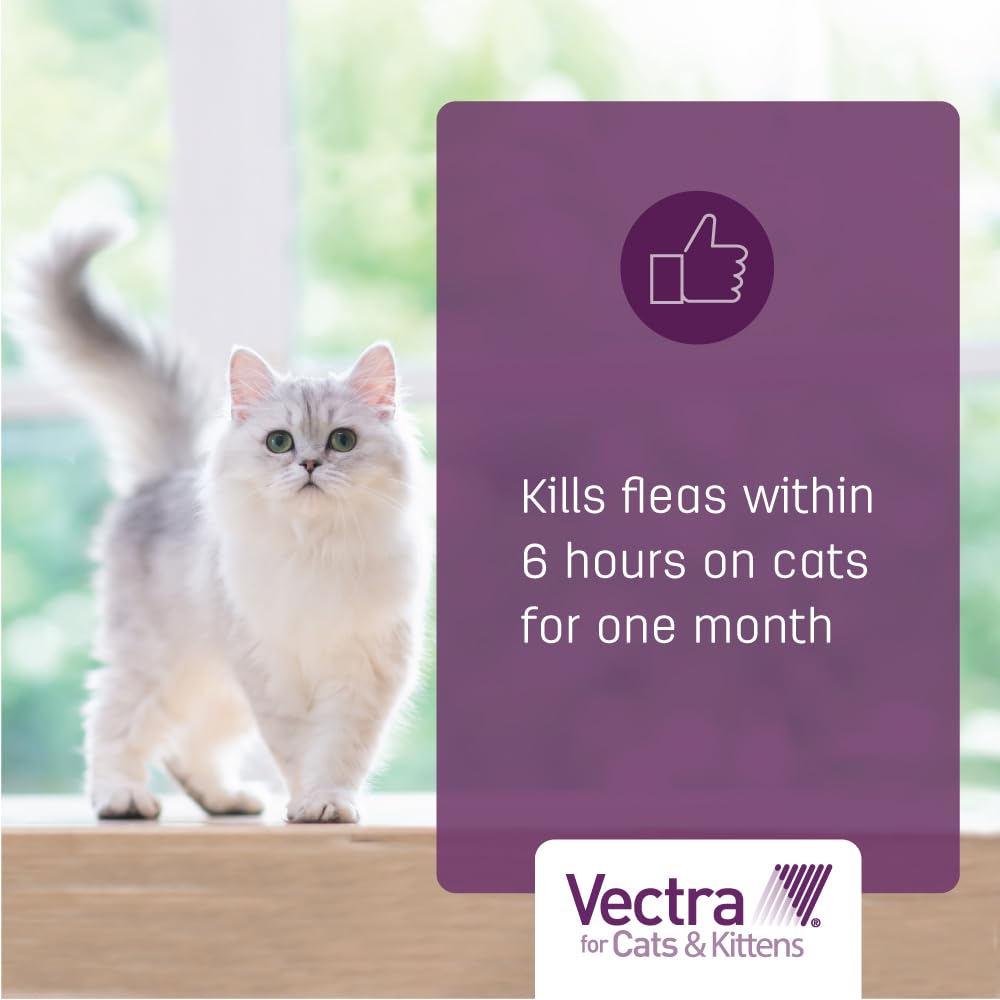 Vectra rounded applicator tip makes skin application simple and accurate.