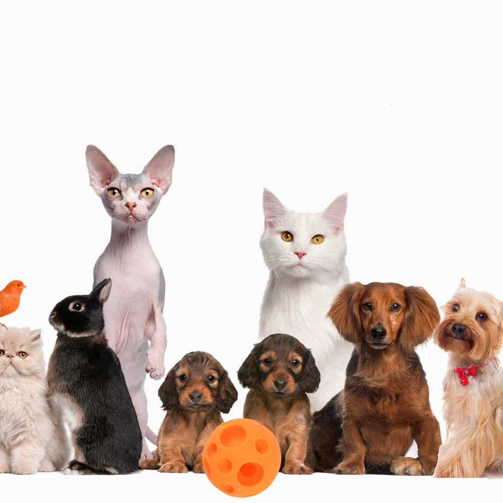 VEEBELL Evan dog toy ball features hole-in-dispenser design for rewards