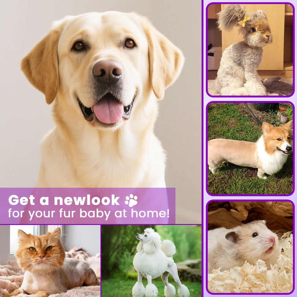 Veeconn dog paw trimmer with 2000 mAh battery for long cordless grooming.