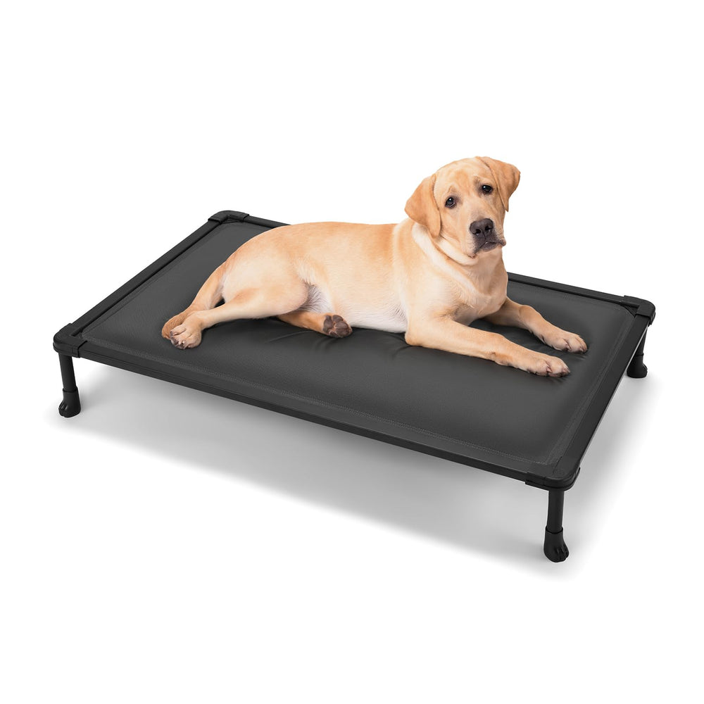 Veehoo chewproof elevated bed anti-dig corners protect from chewing.