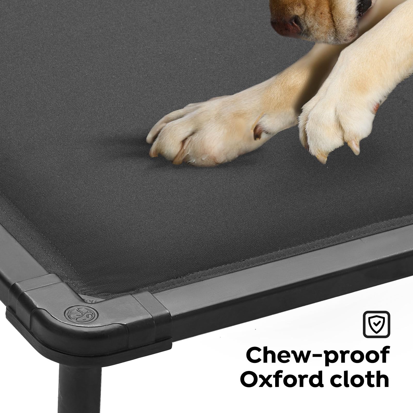 Veehoo chewproof elevated bed indoors and outdoors for versatile pet lounging.